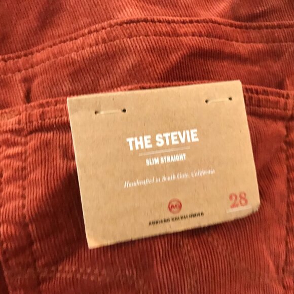 Anthropologie | AG Stevie Corduroy Pants in Burnt Orange - Picture 9 of 13
